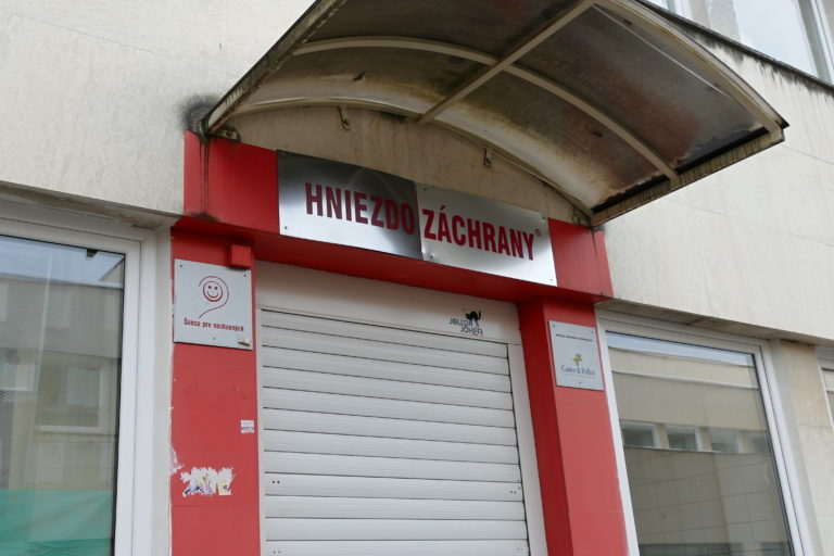 Hniezdo záchrany. 
Foto: TASR/Erika Ďurčová