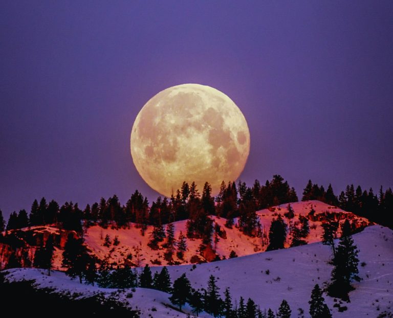 Ilustračné foto: Pexels.com/Frank Cone