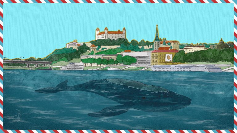 Ilustrácia Vlado Palša