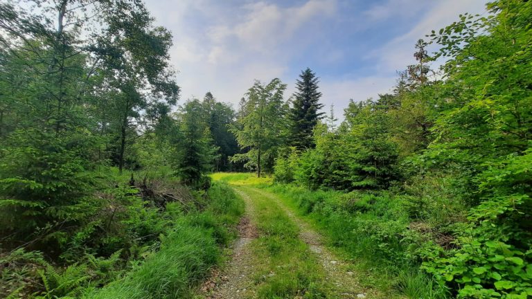 Zákaz využívať mestské lesy platí od 18. 7. do 30. 9. Foto: FB Rastislav Žemla
