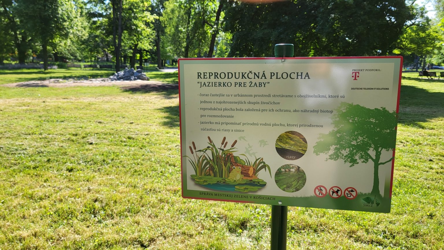 Jazierko pre žaby v mestskom parku pre vandalizmus ohradia. Foto: FB Správa mestskej zelene v Košiciach