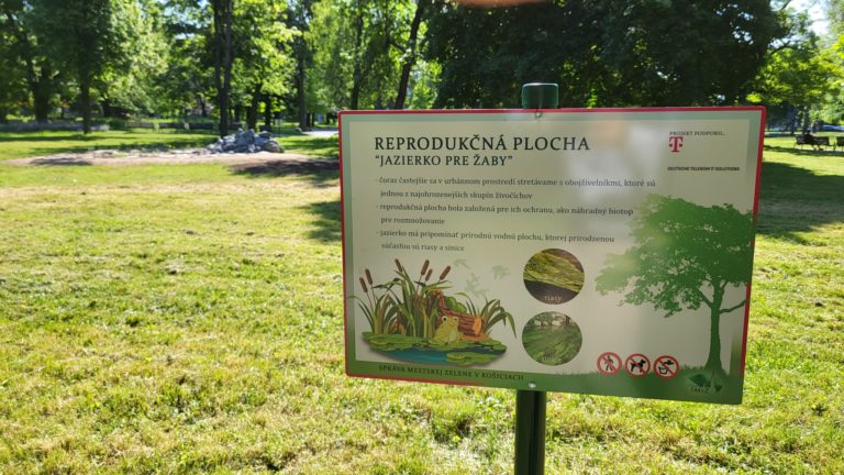 Jazierko pre žaby v mestskom parku pre vandalizmus ohradia. Foto: FB Správa mestskej zelene v Košiciach