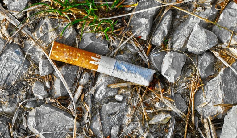 Percentuálne sa objem cigaretového odpadu zvýšil až o desať percent od poslednej analýzy. Ilustračné foto: Foto: pixabay.com