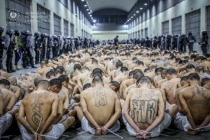 Američania míňajú na drogy 150 miliárd dolárov ročne. Drogové kartely z nich bohatnú