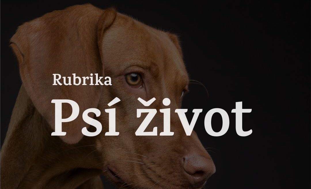 ilustrácia, FOTO: Žilinský Štandard