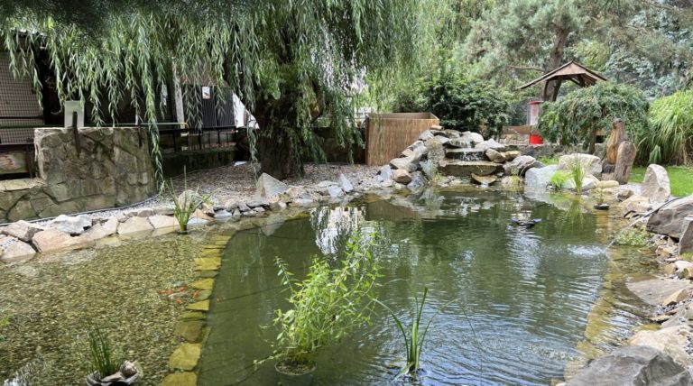 Stropkovský Park zvierat. Foto: tasr