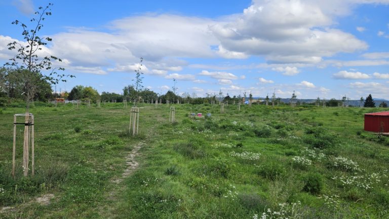 Obyvatelia môžu rozhodnúť o tom, akú podobu bude mať park za Sladovňou. Foto: FB Košice – Mesto Košice