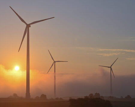 Vietor rozdelil Stupavu. Mesto sa háda o veterný park, spor sa preniesol aj do ulíc