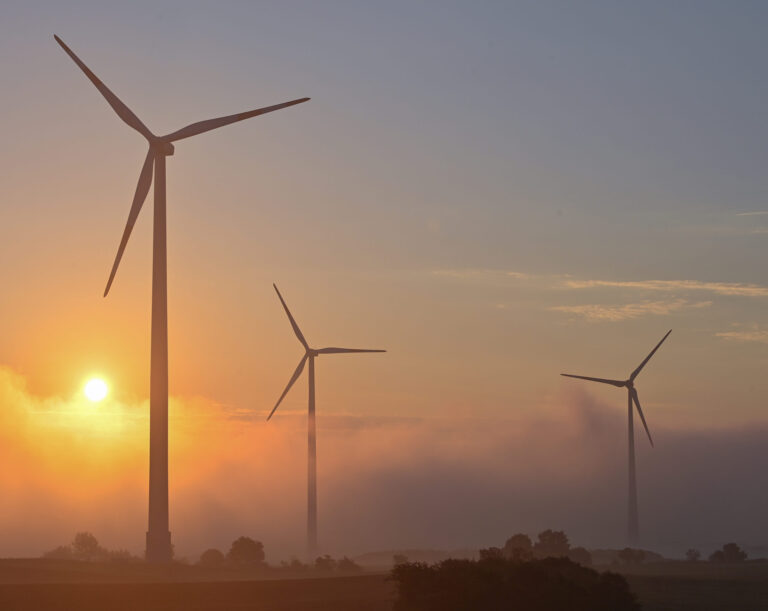 Ilustračný obrázok. Foto: Tasr/Patrick Pleul/dpa