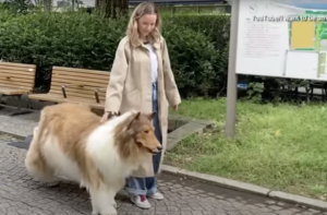 Čo mi prekáža na tom, ak sa niekto považuje za psa