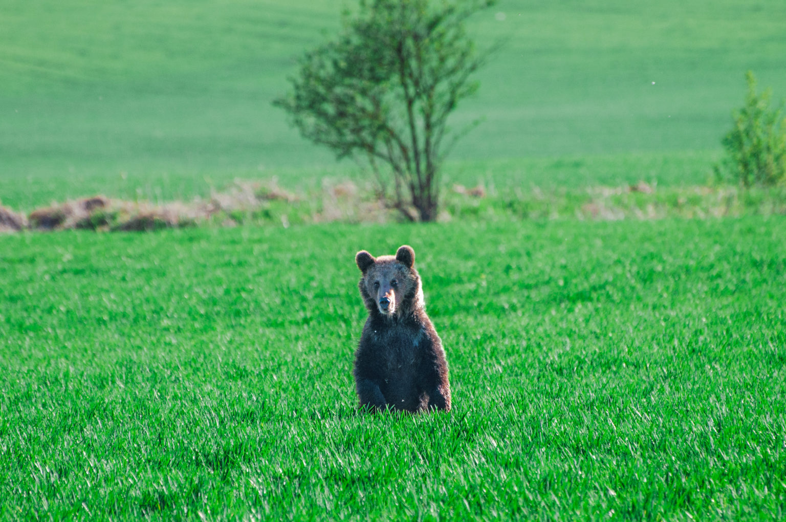 Ilustračný obrázok. Foto: Štandard