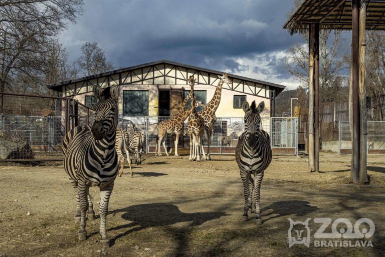 Foto: zoobratislava.sk