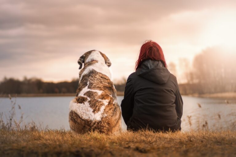 Ilustračné foto: Pixabay