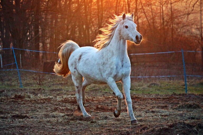 Ilustračný obrázok. Foto: Pixabay