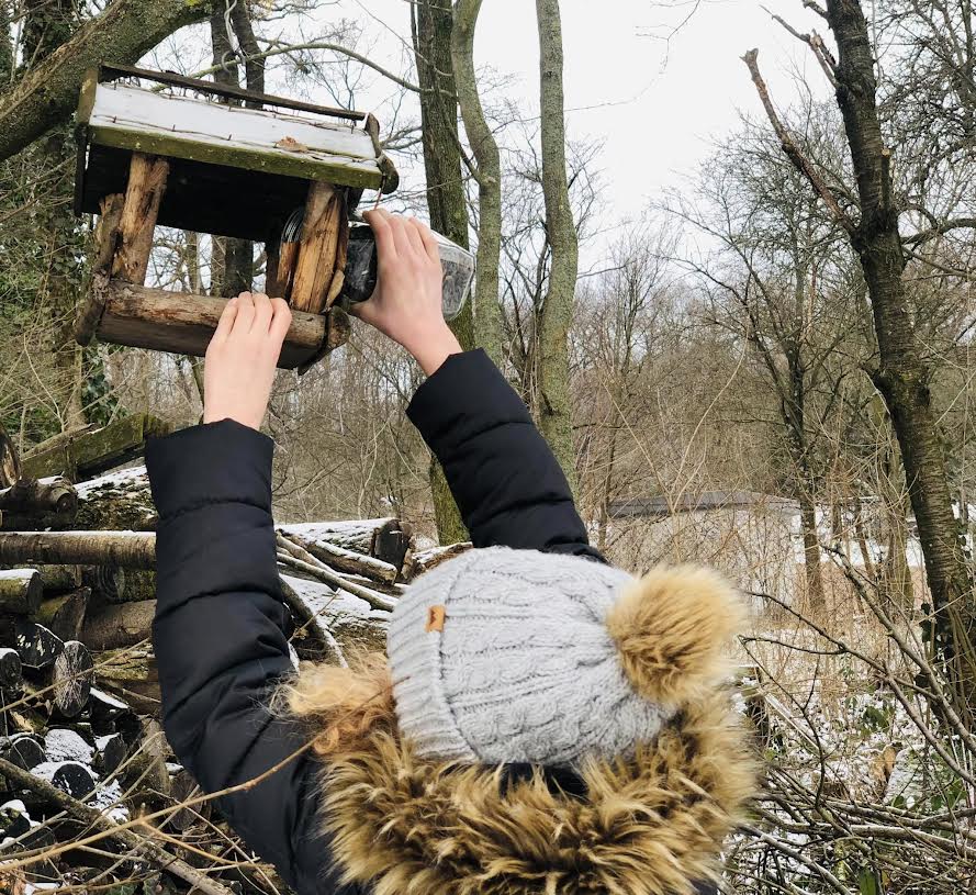 Prikrmovanie vtákov. Foto: Inštitút aplikovanej ekológie Daphne