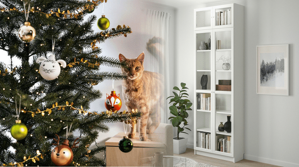 Z bratislavských vianočných stromčekov môže vzniknúť knižnica BILLY. Reprofoto: IKEA