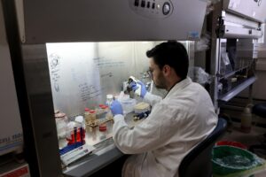 Desaťtisíc malých ja. Ako sa robia experimenty na ľudských embryách