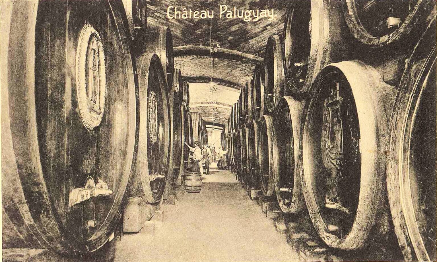 Apoštolská pivnica firmy Palugyay skrývala státisíce litrov prvotriedneho vína. Foto : Palugyay and sons