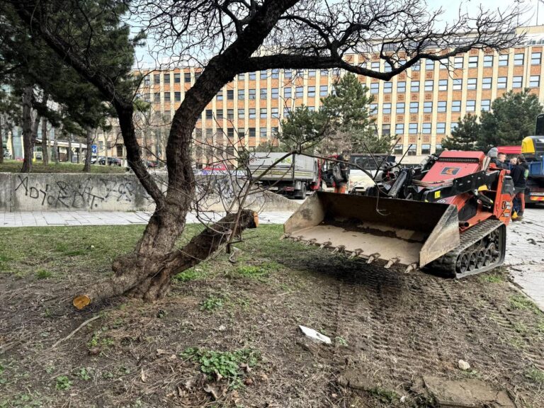 Neoprávnene odstránené stromy na Kollárovom námestí. Foto: Staré Mesto - srdce Bratislavy/Facebook