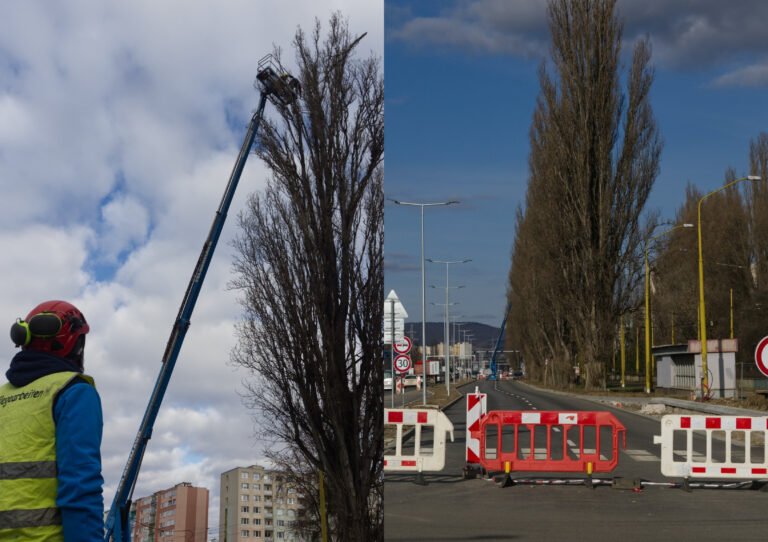 Na Slaneckej ceste realizujú bezpečnostný orez topoľov. Foto: FB Košice – Mesto Košice