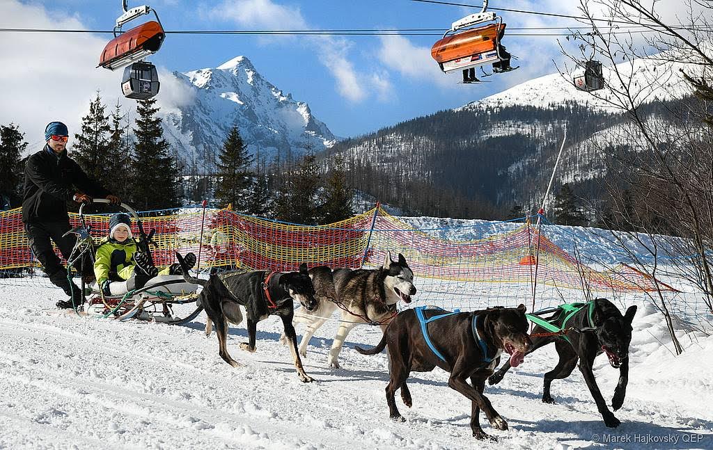 Previezť sa na saniach, ktoré ťahajú psíky, je pre najmenších nezabudnuteľný zážitok. Foto: Marek Hajkovský