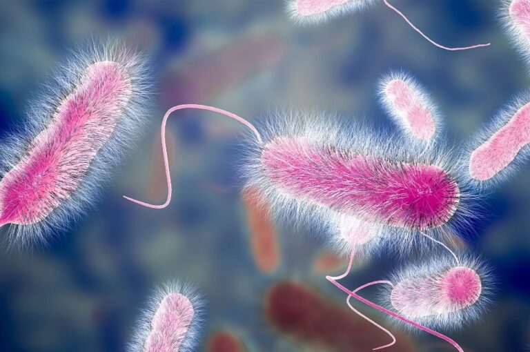 Legionella pod mikroskopom, ilustračné foto Foto: legionella.sk