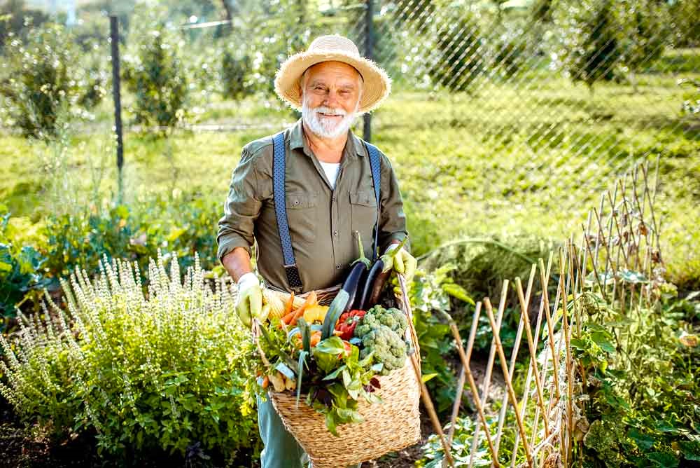 Záhradkár sa má počas roka čím popýšiť. Foto: Garden.com