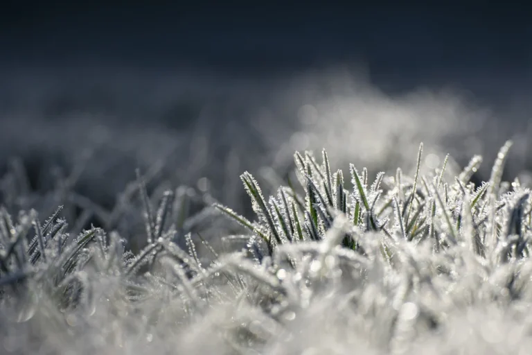 V noci na pondelok klesla teplota v obci Stratená na mínus 3,1 stupňa.  Ilustračné foto Foto: pixabay.com