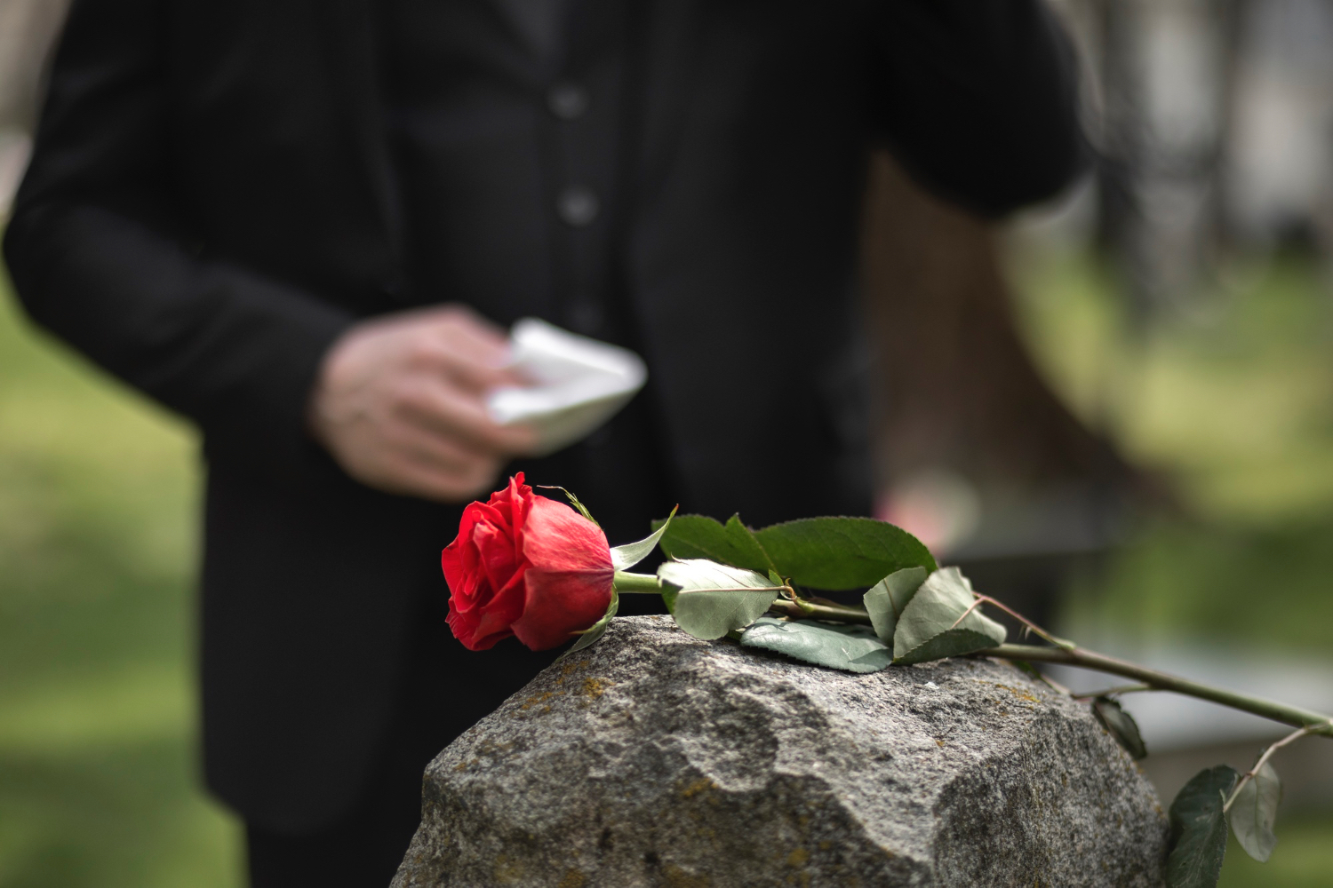 Ilustračné foto. Freepik.com