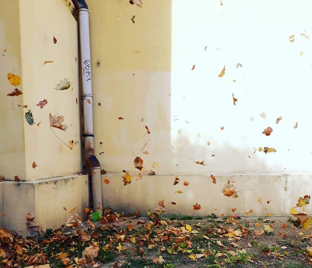 Päť vecí, ktoré by mal vedieť každý Košičan. Foto: Andrej Palko