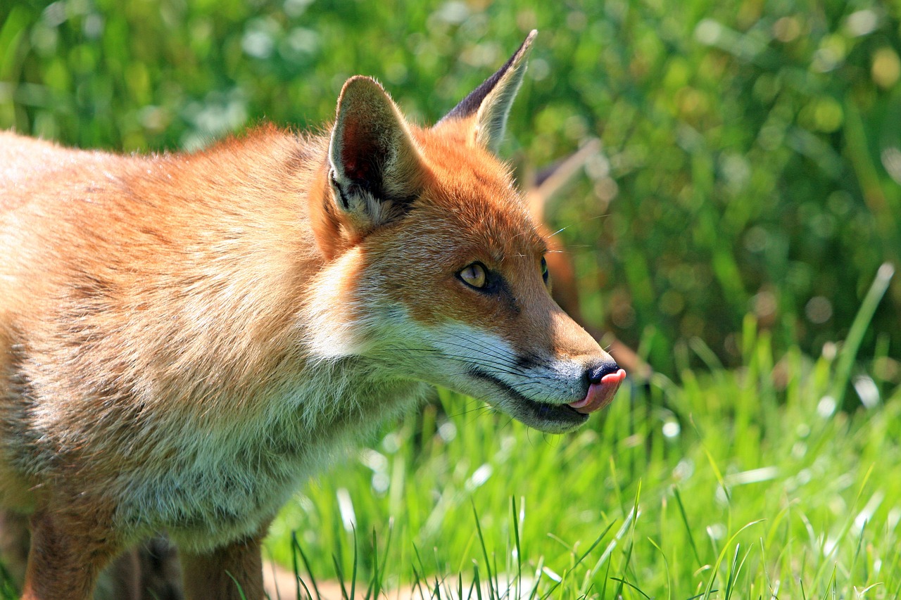 Ilustračná foto: Pixabay