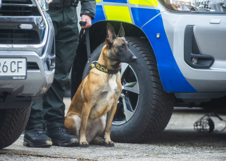 Polícia spustila rozsiahlu akciu Hlavička, zadržala šesť ľudí
