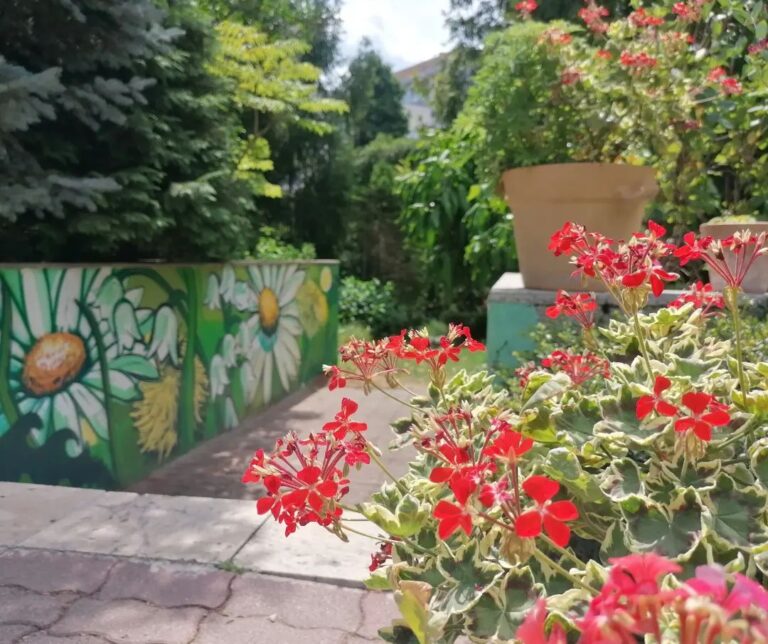 Foto: FB Botanická záhrada UPJŠ