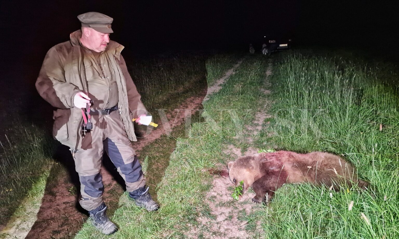 Rudolf Huliak pri zastrelenom medveďovi. Foto: FB/Katarína Kováčiková TV JOJ