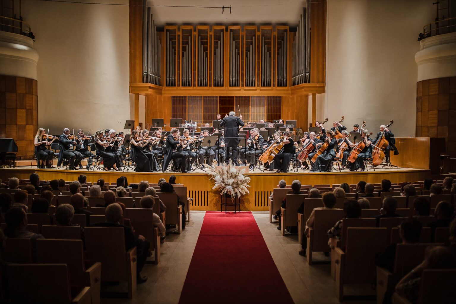Orchester ŠFK. Foto: Jakub Šimoňák