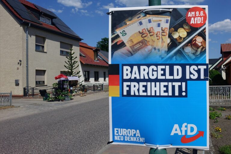 Predvolebný plagát AfD. Ilustračné foto: Profimedia.sk