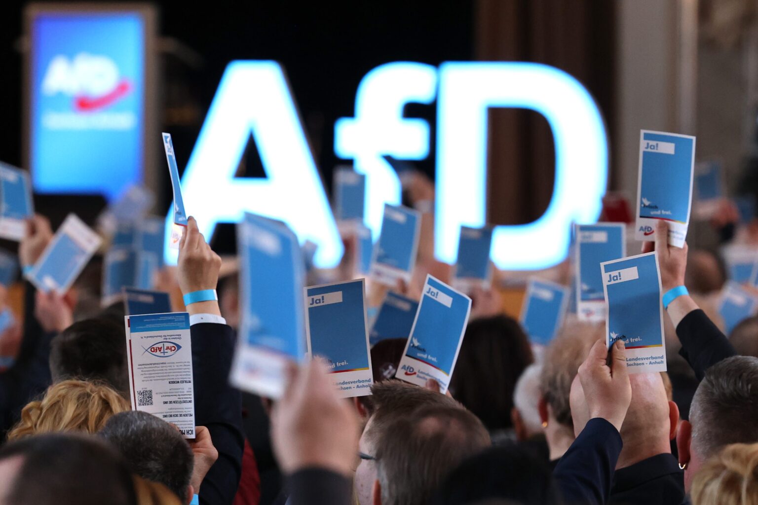 Delegáti na sneme Alternatívy pre Nemecko (AfD) v Magdeburgu. Foto: Peter Gercke/ TASR/DPA