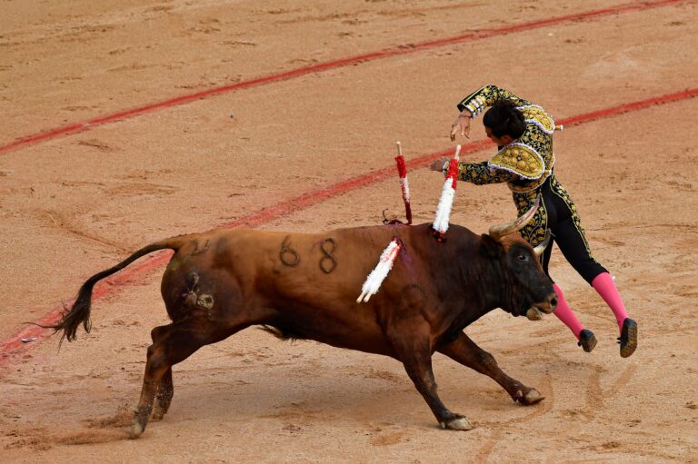 Býk usmrtil bývalého toreadora v meste Málaga