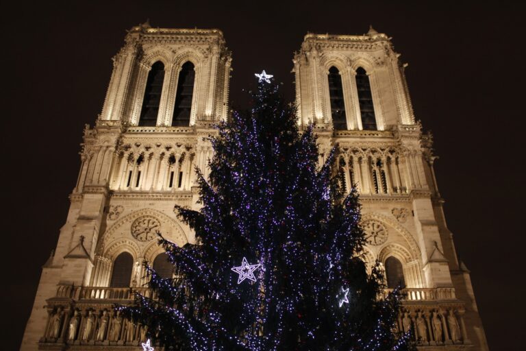 Notre Dame Foto: Godong / robertharding / Profimedia