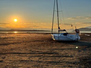 Nízke hladiny v priehradách vodohospodárov nedesia. Sú vraj v norme