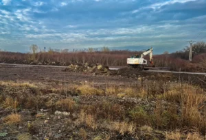 Stavba diaľnic si vyžaduje obnovu ekosystémov, ochranári apelujú na odborný dohľad