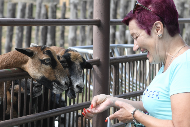 Návštevníčka ZOO. Foto: TASR/František Iván