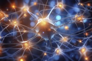 Austrálčania budú predávať „počítač“ zo živých ľudských neurónov