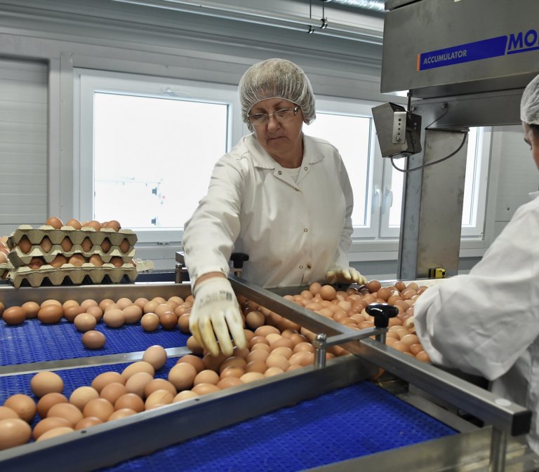 Ilustračná fotografia. Foto: Oliver Ondráš/TASR