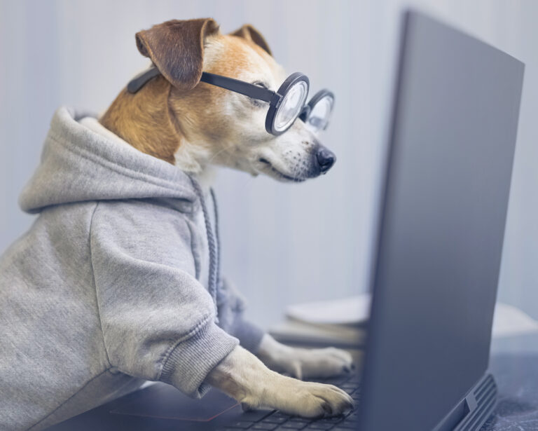 Foto: Fly_dragonfly/Getty Images