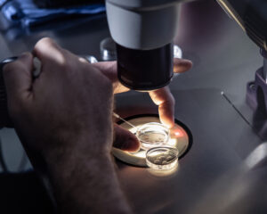 Hrádza proti progresivizmu je deravá, bez zákazu surogácie v ústave