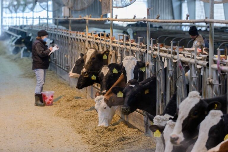 Slovensko sprísňuje opatrenia pre SLAK v Grécku a Turecku