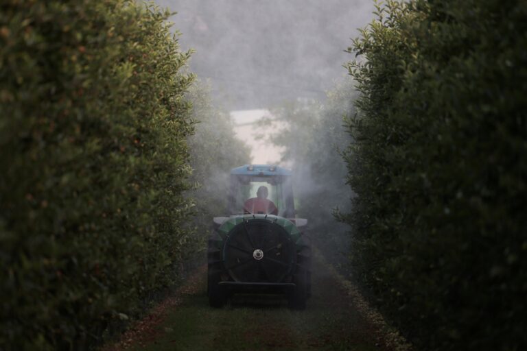 Alberto postrekuje jabloňový sad pesticídmi v dedine Agia v Grécku. Foto: Reuters/ Alexandros Avramidis