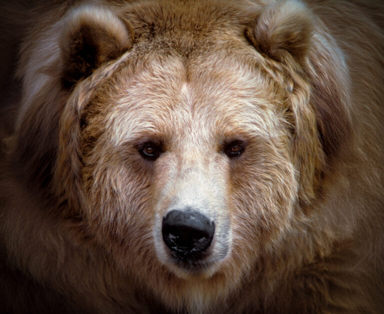 Ilustračná fotografia. Foto: H. Abernathy/ClassicStock/Getty Images