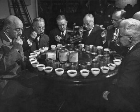 Rada čajových expertov. Alebo keď sú privilégiá (takmer) nesmrteľné